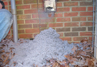 //ikrorwxhklkjlr5q.ldycdn.com/cloud/lqBpoKollpSRkjrminqjiq/dryer-vent-cleaning.jpg